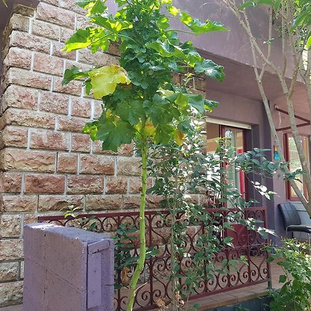 Chambres Privees Maison Jardin Toutes Commodites Partagees Вальрас-Плаж Екстер'єр фото